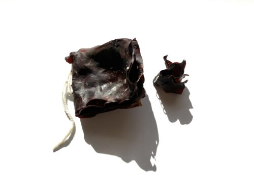 kaksi kuivaa merileväkirjaa